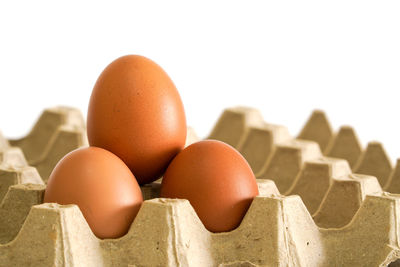 Close-up of eggs against white background