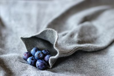 High angle view of fruit on woolen shirt