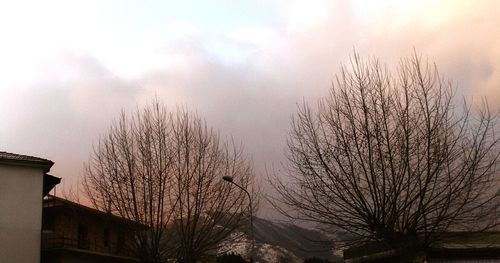 Low angle view of bare trees against the sky