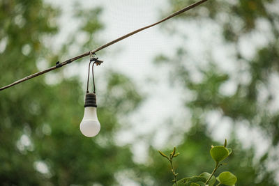 Low angle view of street light