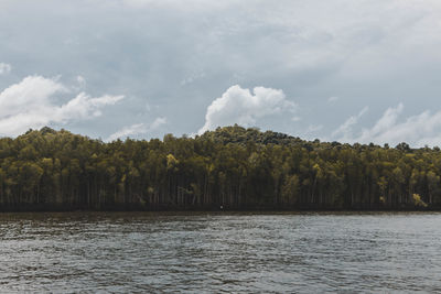 Scenic view of lake by trees against sky