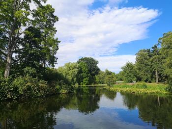 Scenic view of lake by trees against sky