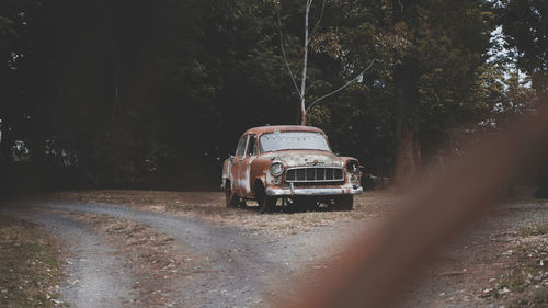 Car on road by trees in forest