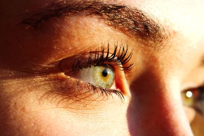 Close-up of human eye