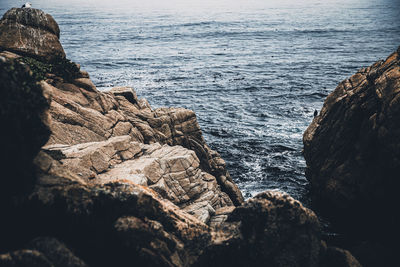 Scenic view of sea shore