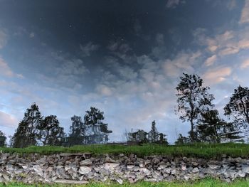 Trees on field against sky