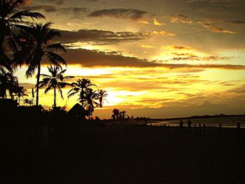 Silhouette palm trees on beach against sky at sunset
