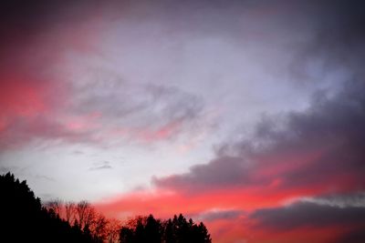 Low angle view of silhouette trees against sky at sunset