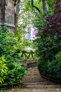 View of house and trees in garden