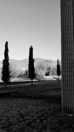 Trees on landscape against clear sky