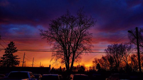 Silhouette trees against sky during sunset