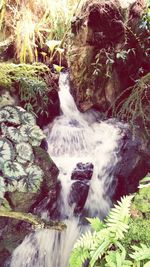 River flowing through rocks