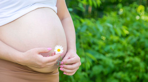 Pregnant woman holding chamomile flower