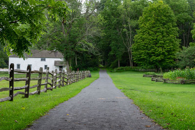 Footpath amidst grass and trees in park