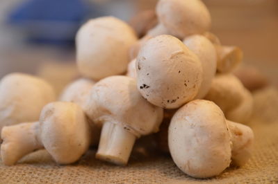 Close-up of eggs