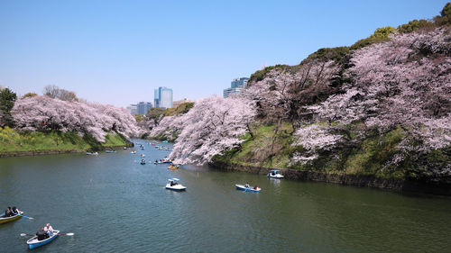 Scenic view of river against clear sky