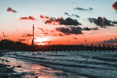 Silhouette of beach during sunset