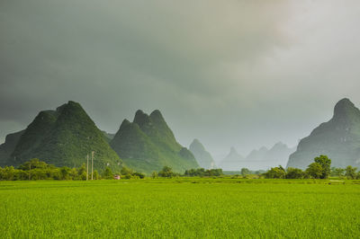 Scenic view of field against sky