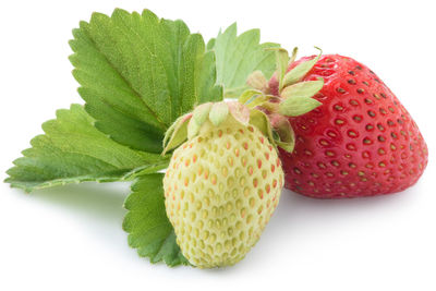 Close-up of strawberry over white background