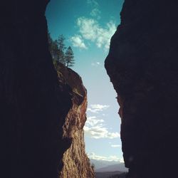 View of men and tree against sky