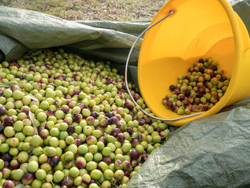 High angle view of fruits