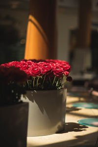 Close-up of red berries on table