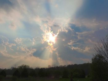 Sun shining through trees