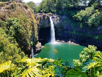 Scenic view of waterfall in forest