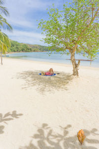 Scenic view of beach against sky