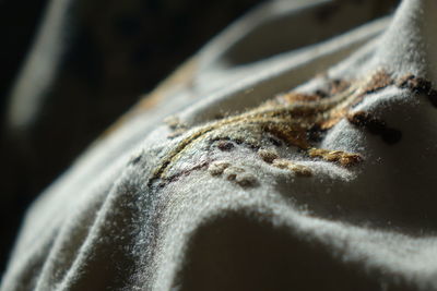 Close up of eye
