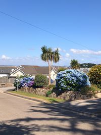 Road by building against blue sky