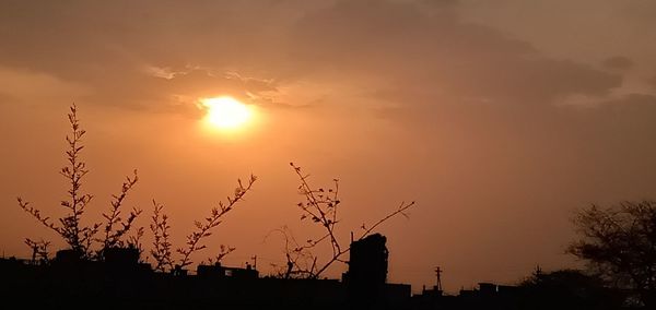 Low angle view of silhouette plants against sky during sunset