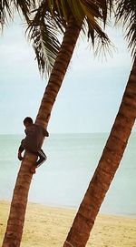 Men sitting on swing at beach