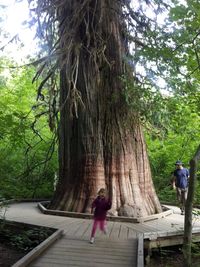 Woman standing on tree trunk in forest