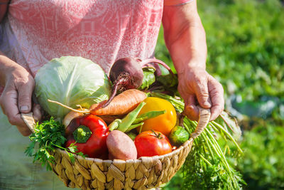 Midsection of man picking fruit