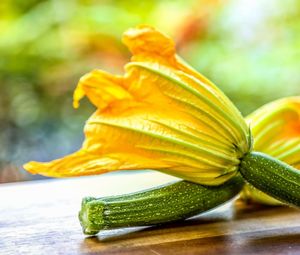 Close-up of flowerin courgettes on table