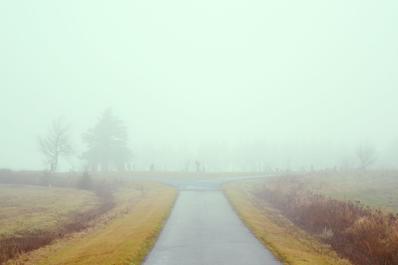 the way forward, diminishing perspective, fog, road, vanishing point, transportation, copy space, tranquil scene, tranquility, landscape, tree, weather, country road, field, foggy, nature, dirt road, empty road, winter