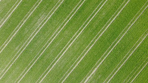 Full frame shot of agricultural field