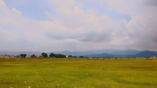 Scenic view of grassy field against cloudy sky