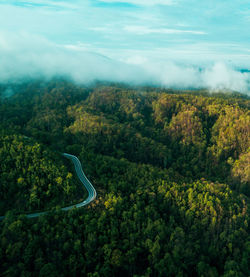 High angle view of winding road amidst trees against sky