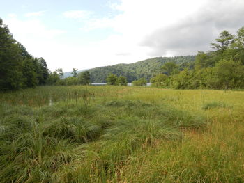 Scenic view of landscape against sky