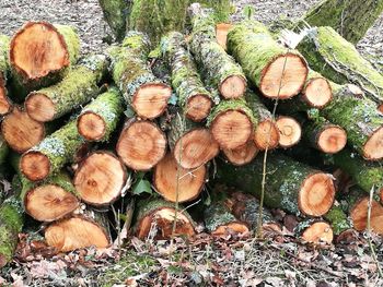 Full frame shot of logs