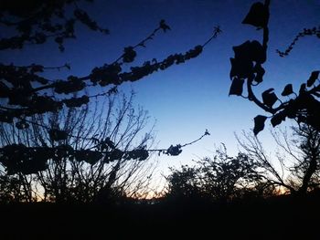 Low angle view of silhouette trees against sky at sunset