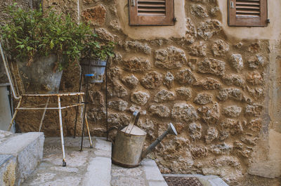 Potted plant on stone wall of old building