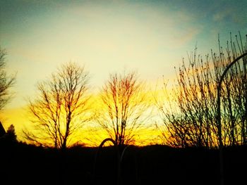 Silhouette of trees on landscape at sunset