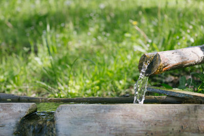 Close-up of water drops on wood