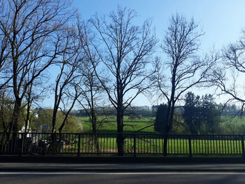 Trees and plants on field by road against sky