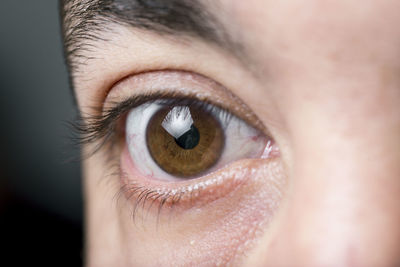 Close-up of cropped eye