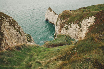 High angle view of rock by sea
