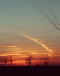 Silhouette of bare tree against sky during sunset